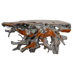 AFD Home Natural Teak Root Console Table